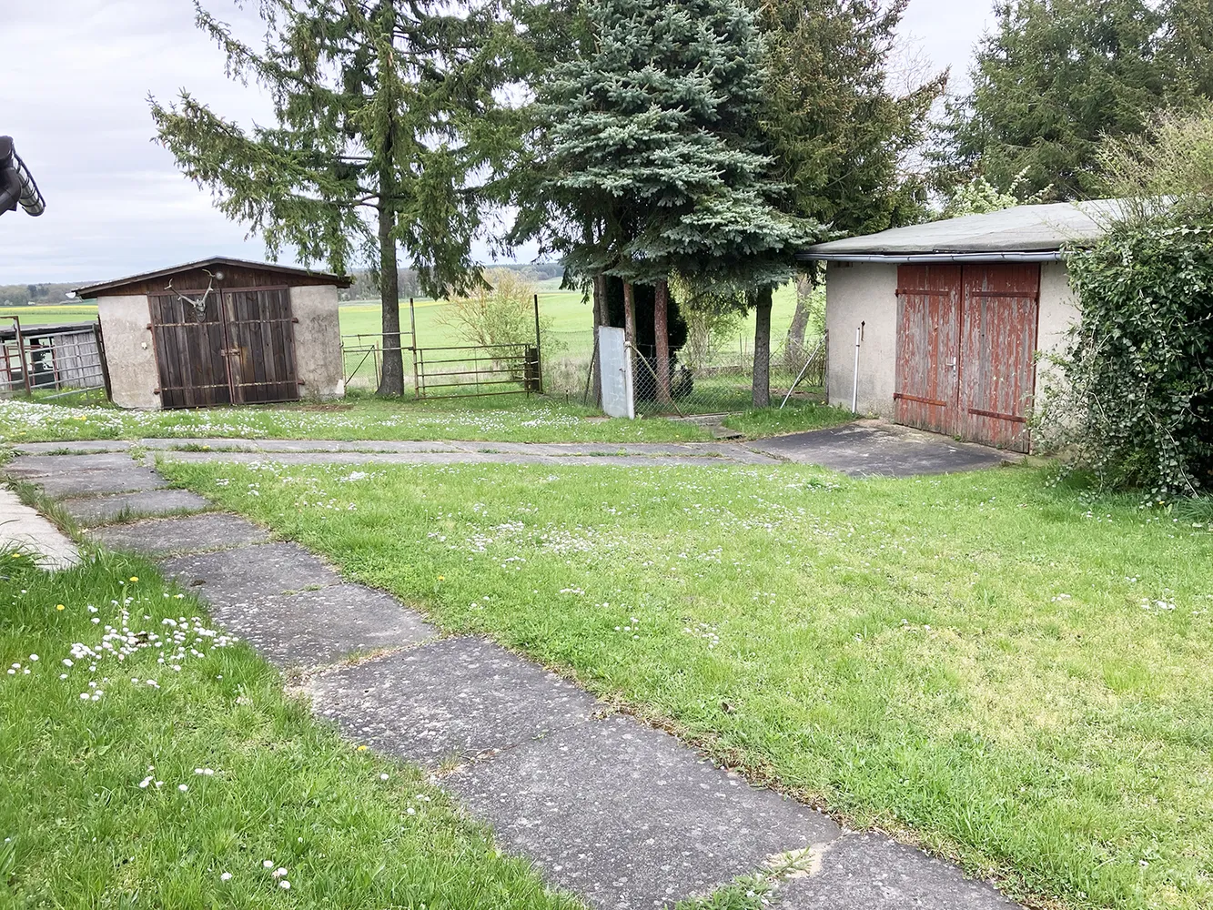 Rarität in uckermärkischer Landschaft bei Gerswalde (UM), Uckermark Kreis – Bild 4