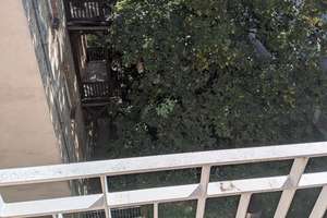 1-Zimmer-Apartment mit Tiefgaragenstellplatz in Uni-Nähe – L7 6a, 68161 Innenstadt/Jungbusch, Mannheim – Vorschaubild 8