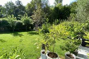 SECRET SALE - Exklusives Wohnerlebnis – Heilbronn (Kreis) – Vorschaubild 4