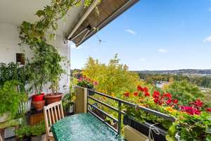 Kapitalanlage gesucht? Solide vermietete 4-Zimmer-Wohnung mit Loggia, Aufzug und zwei Stellplätzen – Die vollständige Adresse der Immobilie erhältst du vom Anbieter., 53123 Duisdorf, Bonn – Vorschaubild 15