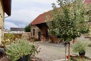 Charmantes Zuhause mit viel Platz – Falltorstraße 4, 64584 Groß-Gerau (Kreis) – Vorschaubild 11