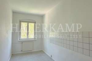 Licht, Ruhe, Charakter - 2 Zimmer im 2 Obergeschoss in Prenzlauer Berg – Die vollständige Adresse der Immobilie erhältst du vom Anbieter., 10409 Prenzlauer Berg, Berlin – Vorschaubild 8