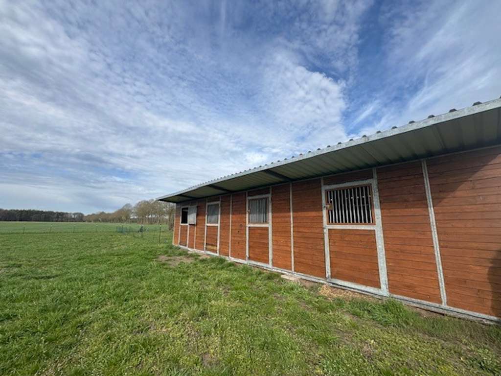 Immobilie in Versmold - Traumhaft gel. Resthof mit Stallungen, Scheune und Wiesen Nähe Heidesee 33775 Versmold-OT Peckeloh - Bild 4