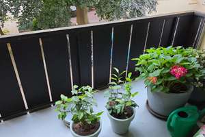 3,5-Zimmer-Wohnung mit gehobener Ausstattung in Trier – Kaiserstraße 26, 54290 Mitte/Gartenfeld, Trier – Vorschaubild 12