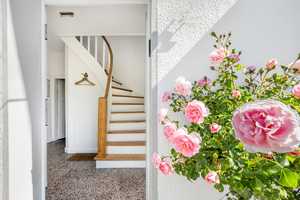 Stadthaus aus Gründerzeit, stilvoll renoviert und saniert, zentrale Lage, mediterrane Südterrasse – Emsland (Kreis) – Vorschaubild 12