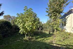 Massiv gebauter Flachdachbungalow mit sanierter Einliegerwohnung und sonnigem Garten  – Mainz-Bingen (Kreis) – Vorschaubild 16