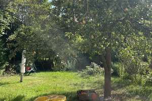 Eindrucksvolle Familienwohnung mit Wintergarten und Balkon in elbnaher Umgebung! – Die vollständige Adresse der Immobilie erhältst du vom Anbieter., 1279 Tolkewitz/Seidnitz-Nord, Dresden – Vorschaubild 18
