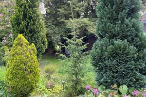 Schöne 140m²  DHH in 35683 Dillenburg,  4 Zimmer, Terrasse, Garten – Die vollständige Adresse der Immobilie erhältst du vom Anbieter., 35683 Dillenburg – Vorschaubild 4