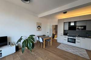 Bezugsfreie, luxuriös renovierte Penthousewohnung in Darmstadt – Ingelheimerstrasse 1, 64295 Darmstadt-West, Darmstadt – Vorschaubild 6