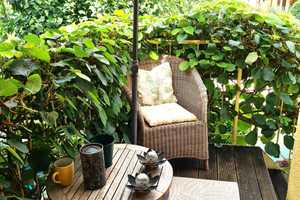 FROSCH ===== SUCHT ===== PRINZESSIN – Enzkreis – Vorschaubild 16