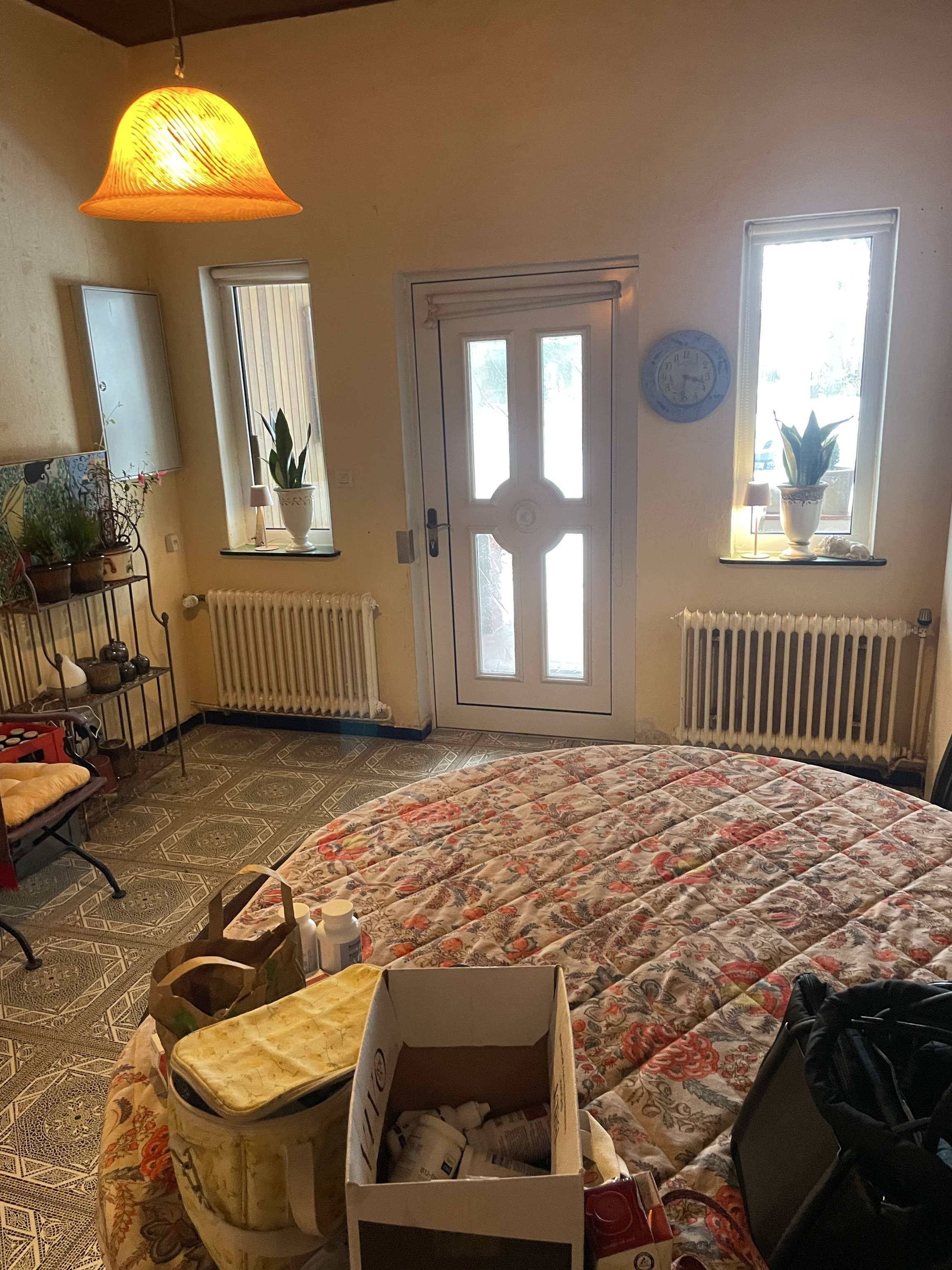 Immobilie in Bücken - Kleines Bauernhaus mit Scheune, Garagenanbau und großer Weide Zwecks Tierhalrung/Pferdehaltung - Bild 6