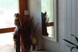 wieviel ist dir Freiheit Wert? EFH  in exponierter Lage PV , Brunnen, Wald, Weiher,gr Halle, carport – Die vollständige Adresse der Immobilie erhältst du vom Anbieter., 92271 Freihung – Vorschaubild 30