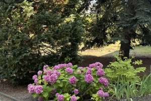 ***"Bezugsfreie 2-Zi.-ETW im 2. OG mit Balkon, Gemeinschaftsgarten und PKW-Stellplatz*** – Goethestr. 19, 12207 Lichterfelde, Berlin – Vorschaubild 8