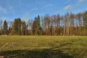 Winkelbungalow in idyllischer Ortrandlage – Uelzen (Kreis) – Vorschaubild 3