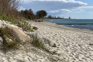 Property thumbnail 22