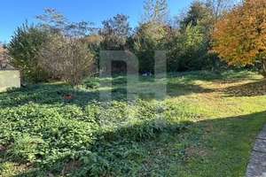 Property thumbnail 30