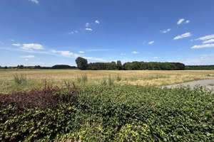 Bezugsfrei zum 01.06.26! - Freistehendes Zweifamilienhaus mit Einliegerwohnung und großem Garten – Die vollständige Adresse der Immobilie erhältst du vom Anbieter., 50999 Weiß, Köln – Vorschaubild 11