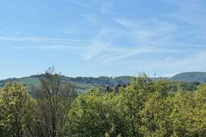 Freistehendes Einfamilienhaus für ein komfortables Wohnen auf einer Ebene – Kusel (Kreis) – Vorschaubild 4
