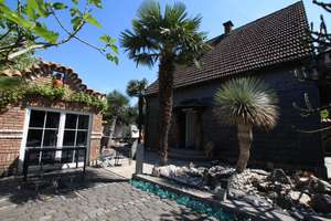 Mediterrane Palmen Insel in Crange – Dorstener Str. 440 a, 44653 Unser Fritz / Crange, Herne – Vorschaubild 5