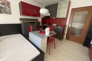 Zu vermieten Möbliertes 1-Zimmer-Apartment mit Balkon, Stellplatz & Aufzug in Mainz-Laubenheim – 55130 Laubenheim, Mainz – Vorschaubild 3