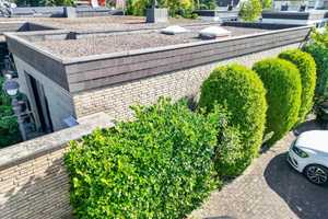 Familienfreundlicher Bungalow in Pavenstädt mit schönem Garten und Garage - In attraktiver Lage! – Gütersloh (Kreis) – Vorschaubild 3