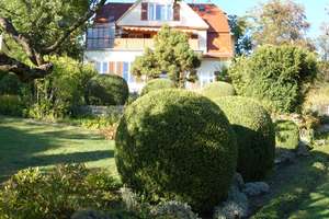 Historisches Zweifamilienhaus mit zeitlosem Charme in bester Lage Stuttgarts – Die vollständige Adresse der Immobilie erhältst du vom Anbieter., 70192 Am Bismarckturm, Stuttgart – Vorschaubild 4