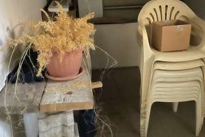 Solides Einfamilienhaus mit Garten und Garage in ruhiger Lage – 67580 Hamm am Rhein – Vorschaubild 24