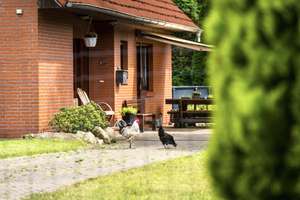 Großes Einfamilienhaus mit über 3000m² Grundstück im Grünen – Die vollständige Adresse der Immobilie erhältst du vom Anbieter., 27449 Kutenholz – Vorschaubild 4