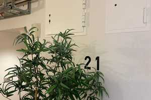 Property thumbnail 6