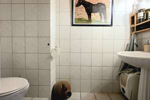 Modernisiertes Einfamilienhaus 2 Bäder Terrasse großer Garten Pool Doppelgarage 3-4 PKW-Stellplätze – 51381 Lützenkirchen, Leverkusen – Vorschaubild 28