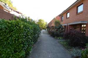 Reihenhaus mit viel Platz und Ausbaumöglichkeit,  voll unterkellert, Garage, gute, ruhige SW- Lage. – Steinburg (Kreis) – Vorschaubild 8