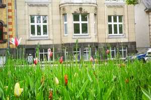 Historisches Gebäude mit Geschichte in Frontlage am St.-Veit-Park in Mayen – Mayen, Mayen-Koblenz (Kreis), 56727 Mayen-Koblenz (Kreis) – Vorschaubild 2
