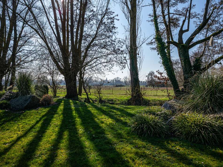 Screenshot20260311191336