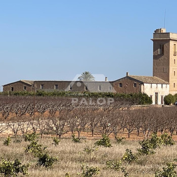 Cortijo Torre del Borrero zum Verkauf in Guadassuar