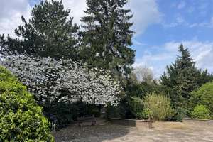 Property thumbnail 11