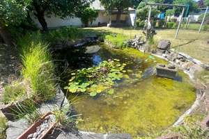 Idyllisches Wohngrundstück lädt zum Verweilen ein.. – Zum Freibad 22, 14943 Luckenwalde – Vorschaubild 40