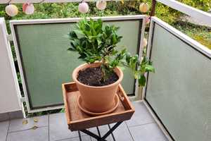 Voll ausgestattete (möblierte) 2-Zi-Wohnung mit Balkon & Einbauküche, M-Hirschgarten (unbefristet) – Wotanstraße 40, 80639 München – Vorschaubild 20