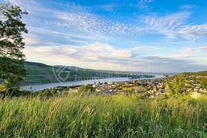 Oberste Hanglage mit Weitblick und Waldzugang: Repräsentatives freistehendes EFH – Mainz-Bingen (Kreis) – Vorschaubild 20