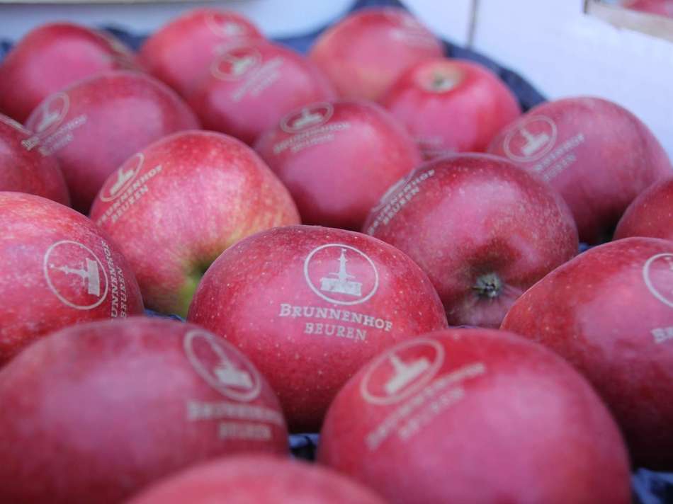 Brunnenhof Beuren Apfel