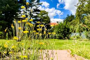 Außergewöhnlicher Garten & viel Platz für die ganze Familie !!! – Hauptstraße 3, 38110 Wenden-Thune-Harxbüttel, Braunschweig – Vorschaubild 3