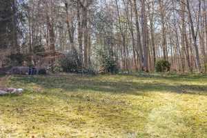 Modernes Architektenhaus in naturnaher Lage – Herzogtum Lauenburg (Kreis) – Vorschaubild 17
