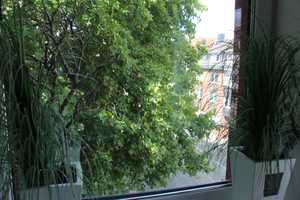 Exklusive Terrassenwohnung mit Penthouse-Charakter in Top-Lage von Osnabrück (Provisionsfrei) – Osnabrück – Vorschaubild 45