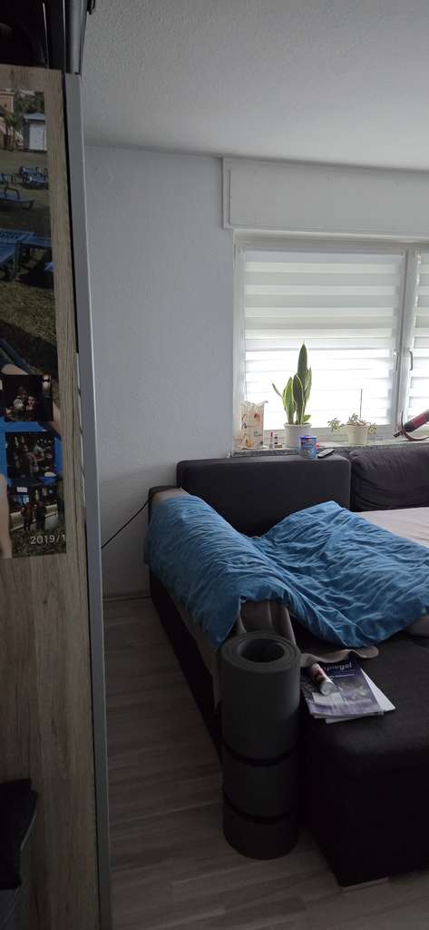 Immobilie in Bad Herrenalb - Barrierefreie 1-Zimmer Wohnung mit Gartenmitbenutzung in Bad Herrenalb - Bild 3