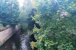 Leben am Fluss - Schöne 3-Zimmer Altbauwohnung direkt an der Sieg  im 2. OG in Siegen – Auf dem Sand 9, 57072 Siegen, Siegen – Vorschaubild 1