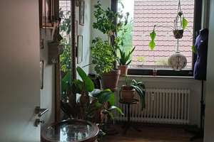 Sanierte 4 Zi Wohnung - auch WG geeignet – Dählmannsweg 45, 26135 Drielaker Moor, Oldenburg (Oldenburg) – Vorschaubild 7