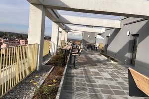 Moderne 2-Zimmer-Wohnung mit hochwertiger Ausstattung, Dachterrasse und Top-Infrastruktur. – Hermine-von-Parish-Straße 43, 81245 Neupasing, München – Vorschaubild 15
