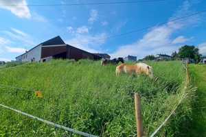 Renoviertes Bauernhaus mit Scheune und großem Grundstück in Lebach - Niedersaubach – Saarlouis (Kreis) – Vorschaubild 20
