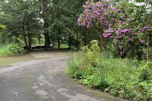 Jugendstil Hochparterre-Wohnung mit drei Zimmern, Garten, fabrikneue Einbauküche, neues Badezimmer – Die vollständige Adresse der Immobilie erhältst du vom Anbieter., 41068 Venn, Mönchengladbach – Vorschaubild 16