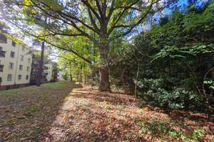 Dahlem| am Grunewald| Zeitmietvertrag 3 Jahre| vollmöbliert| großer Balkon| Einbauküche – Flanaganstr. 27, 14195 Dahlem, Berlin – Vorschaubild 2