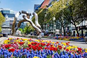 Property thumbnail 21